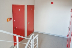 Hansaviimistluse arendus